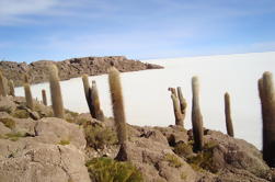 Giorno Privato Salar de Uyuni