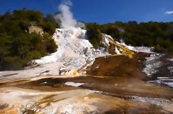 Excursión geotérmica autoguiada en Orakei Korako