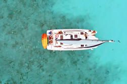 Cozumel Private Luxury Catamaran