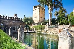 Córdoba Paseo a pie con baños árabes opcionales