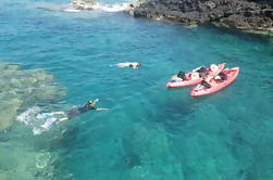 Ocean Kayak Tours