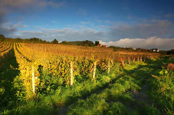 Excursão pequena do vinho dos Carpathian de Bratislava