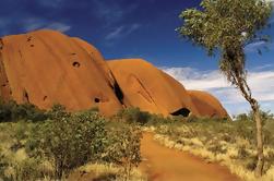 2-Day Uluru (Ayers Rock) Exploración del Parque Nacional de Alice Springs