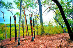 Tiwi Islands Cultural Experience from Darwin Including Flights