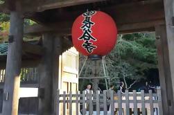 Private Half-Day Tour of Kamakura from Tokyo including the Great Buddha