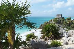 Tulum Ruins Half-Day Morning Tour