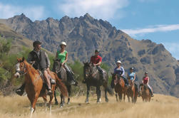 Half-Day Walter Peak Horse Trek de Queenstown