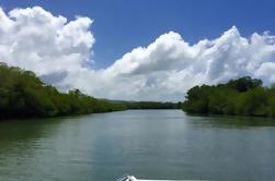 Mangrove Kayak Tour en Cayo Levantado Beach Bezoek