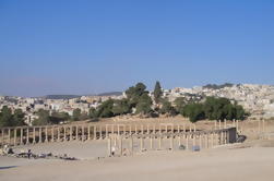 Viaje de medio día de Jerash desde Ammán