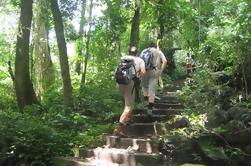 Private Day Tour: Cuc Phuong National Park van Hanoi