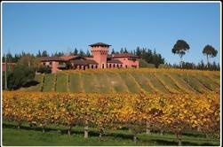 Private Tour: Vinho de Inverno Marlborough e Scenic Tour de Picton