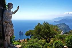 Shore Exkursion: Pompeji und Capri Private Tagesausflug von Neapel Port
