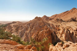 Indian Canyons by Jeep plus Tour de senderismo desde Palm Springs