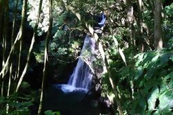 Sanguinho Passeio a Pérola nos Açores