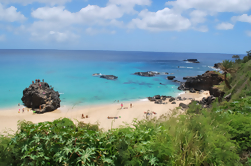 Excursión de un día a Oahu Grand Circle Island con Dole Plantation