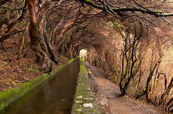 Rabaçal - Levada Walk