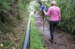 Levada Walk fra Ribeiro Frio til Portela