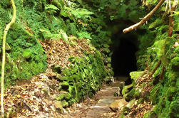 Queimadas Caldeirão Verde Santana - Levada Walk