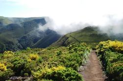 Fanal Assobiadores - Levada Walk