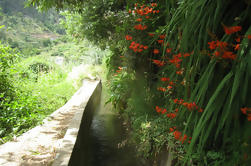 Serra D'Água dalen - Levada Walk