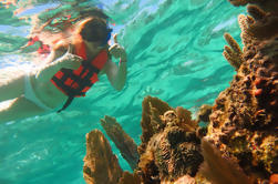 Aventura de buceo de todo el día desde Cancún