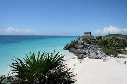 Tulum, Wayak Cenote and Playa del Carmen Tour from