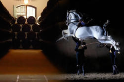 Jerez Visita guiada histórica con espectáculo de caballos y visita a la bodega