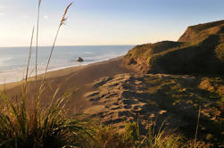 Full-Day Wild West Coast Foto en Discovery Tour inclusief lunch van Auckland