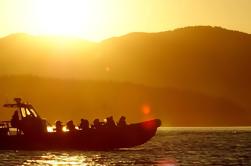 Zonsondergang van de zomer Whales and Wildlife Tour in Vancouver Island