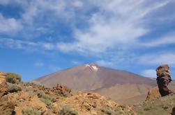 Half-Day Teide National Park Tour