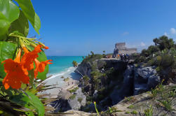 Passeio de Tulum e Cenote de Cancun