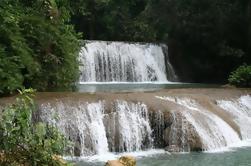 Black River, YS Falls and Appleton Rum Estate Day Trip from Negril