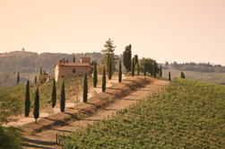 Chianti Cuisine et vin de Florence