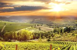 Private Best of Chianti Classico Tour 2 Delicious Wine Tastings and 3 Charming Medieval Villages with Wine and Dine in the Chianti Vineyards