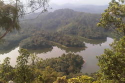 Tour Privado: Bukit Tabur Caminata con un Local desde Kuala Lumpur