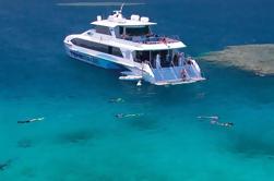 Gran Barrera de Arrecifes Gran Mergulho y Snorkel Crucero desde Palm Cove