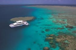 Outer Great Barrier Reef Dive and Snorkel Cruise from Port Douglas