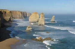 3-Day Melbourne to Adelaide Multi Day Tour Including Great Ocean Road and Grampians