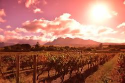 Ganztägige private Winelands Tour aus Kapstadt