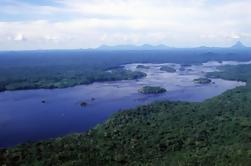 Excursão de sobrevivência da Floresta Amazônica de Manaus