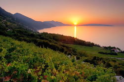 Peljesac Wine Tour