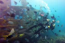 Paquete de Buceo en Bayahibe