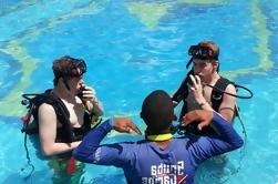 PADI Curso de Buceo en Bayahibe