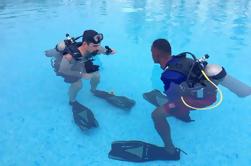 Curso PADI Open Water Diver en Bayahibe