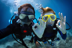 Curso de PADI Scuba Diver en Bayahibe