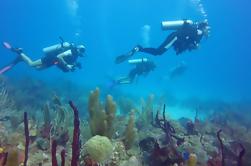 1 uur Certified Dive in Punta Cana