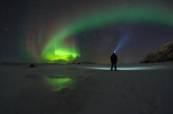 Las Luces del Norte persiguen un pequeño grupo en Tromso