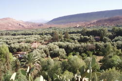 Giorno privato di viaggio: Zat Valley e Pottery Village da Marrakech