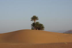 2-Day Private Tour in the Desert of Zagora from Marrakech