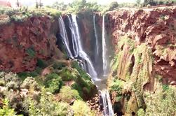 Excursion d'une journée privée: Cascades d'Ouzoud et Imi n'Ifri de Marrakech